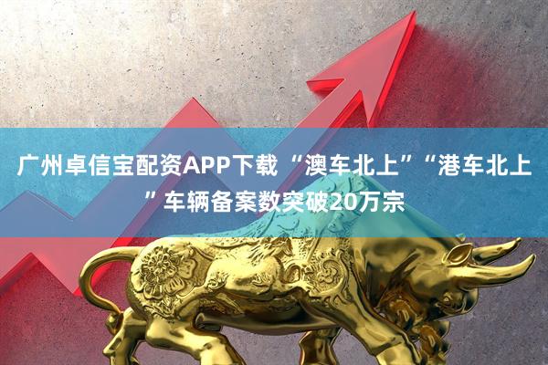 广州卓信宝配资APP下载 “澳车北上”“港车北上”车辆备案数突破20万宗