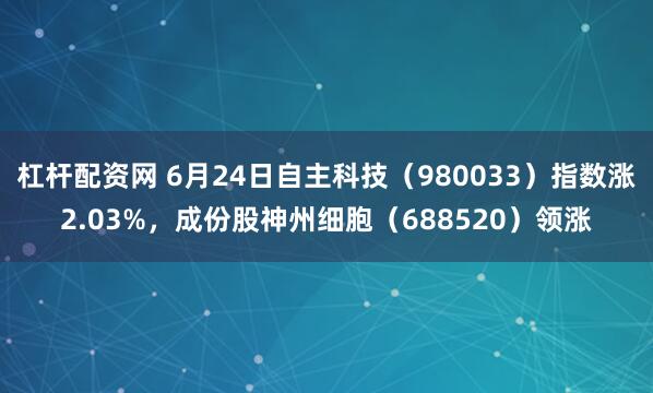 杠杆配资网 6月24日自主科技（980033）指数涨2.03%，成份股神州细胞（688520）领涨