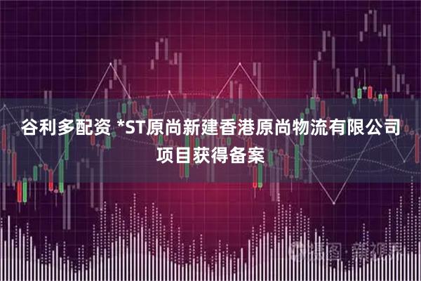 谷利多配资 *ST原尚新建香港原尚物流有限公司项目获得备案