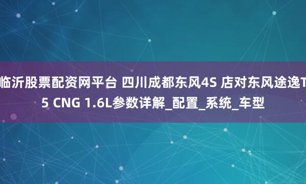 临沂股票配资网平台 四川成都东风4S 店对东风途逸T5 CNG 1.6L参数详解_配置_系统_车型